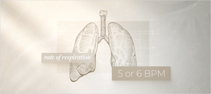 sketched style illustration of lungs
